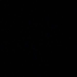 Meet your Posher, Miguel